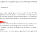 Langkah-langkah Mengajukan Banding Akun AdSense yang Kena Suspend