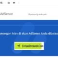 Cara mengatasi masalah iklan AdSense di situs multikonten dan mengelola berbagai jenis konten