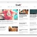 Tips memilih tema WordPress yang ramah AdSense dan mudah digunakan