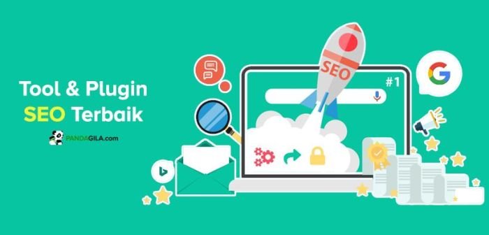 Setting Optimal Plugin SEO untuk Blog WordPress AdSense